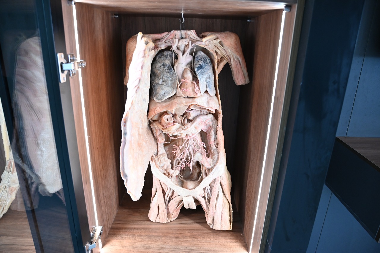 Anatomy Department Image 6