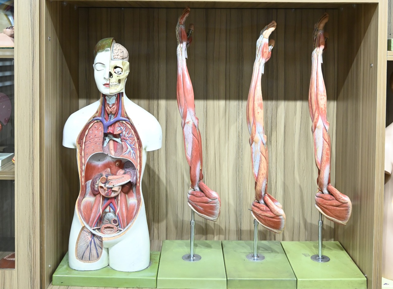 Anatomy Department Image 7